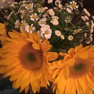 Meet your Posher, Lynda